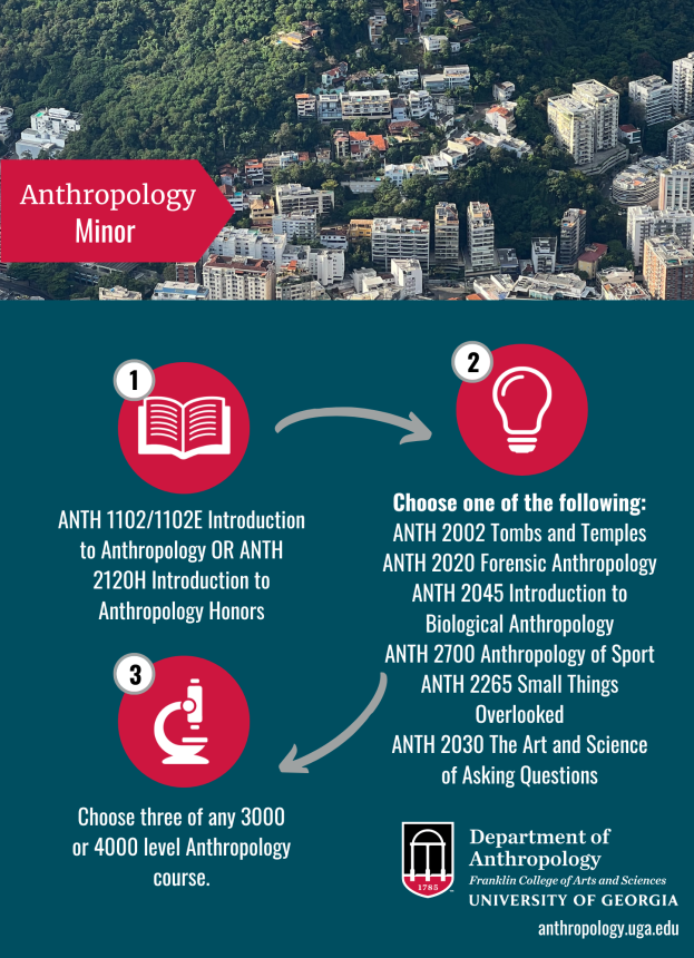 Minor in Anthropology Anthropology
